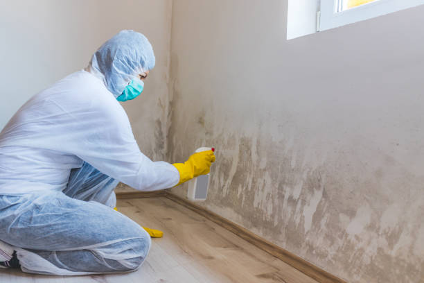 Mold Remediation specialist working in Rutherford